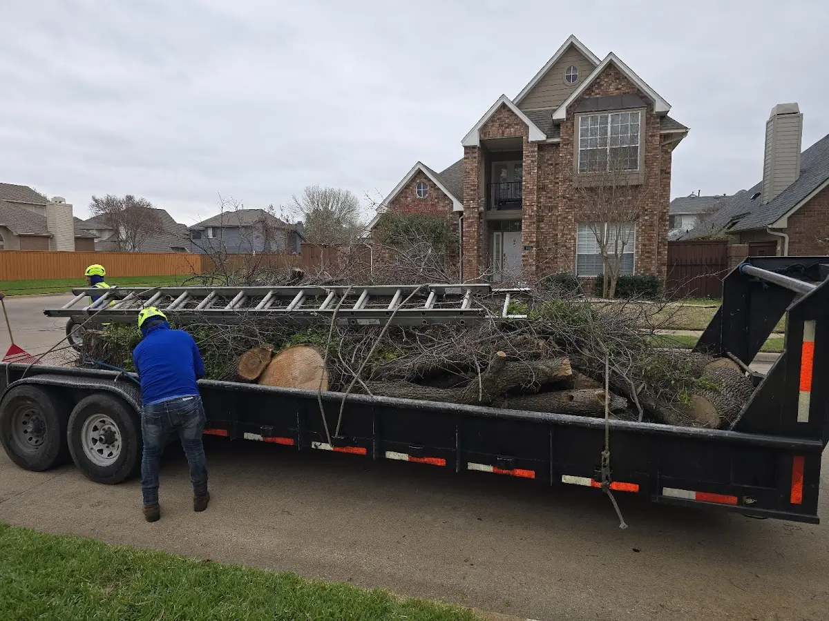 Expert Tree Removal with proper safety equipment in Vanderpool